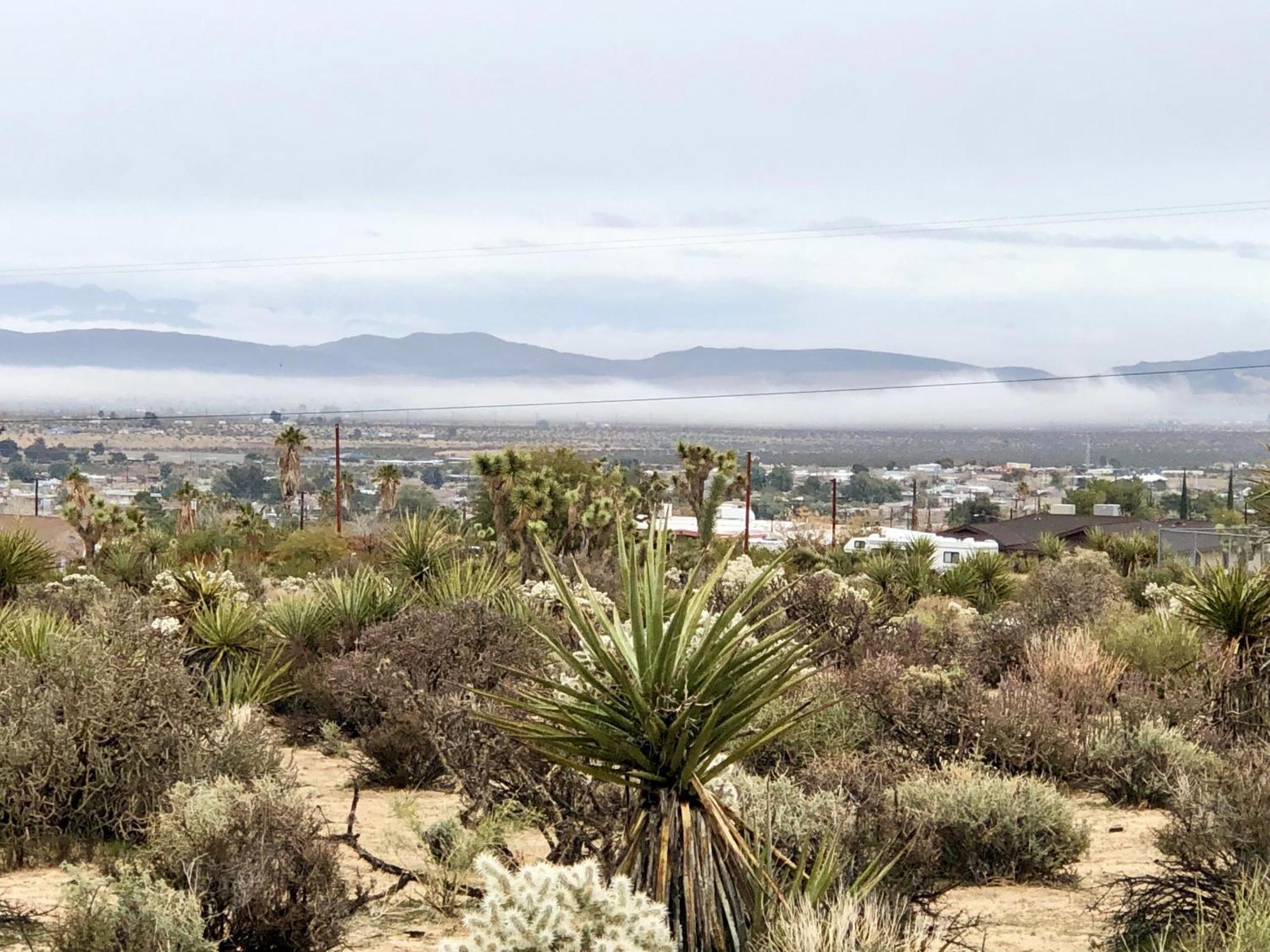 Cozy Desert Retreat With Amazing Views Only 4 Miles To Jtnp Joshua Tree Zewnętrze zdjęcie